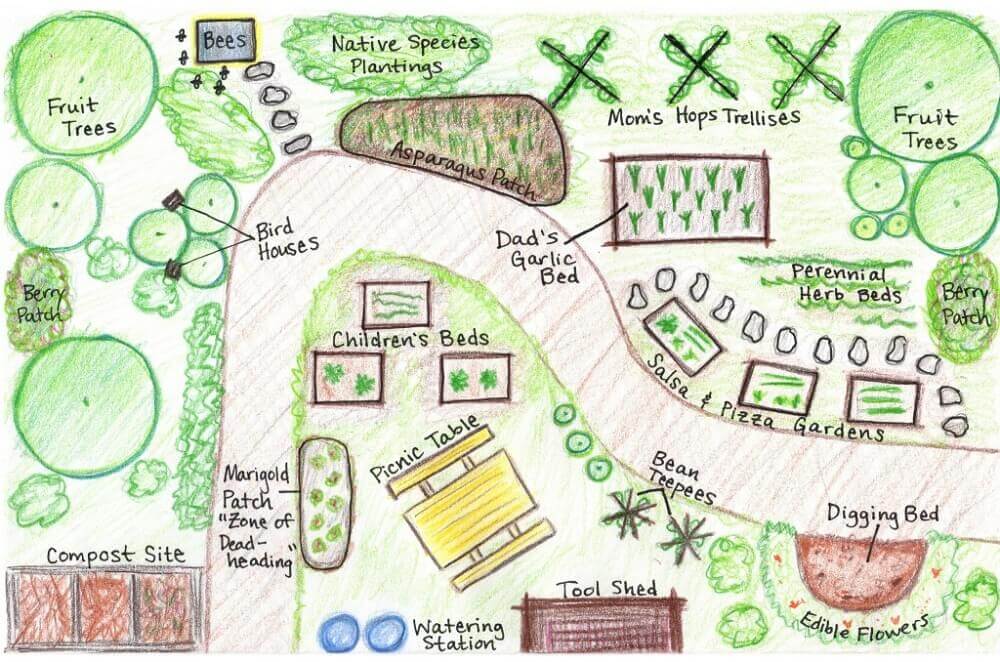 Hand-drawn garden plan sketch with vegetable beds and layout